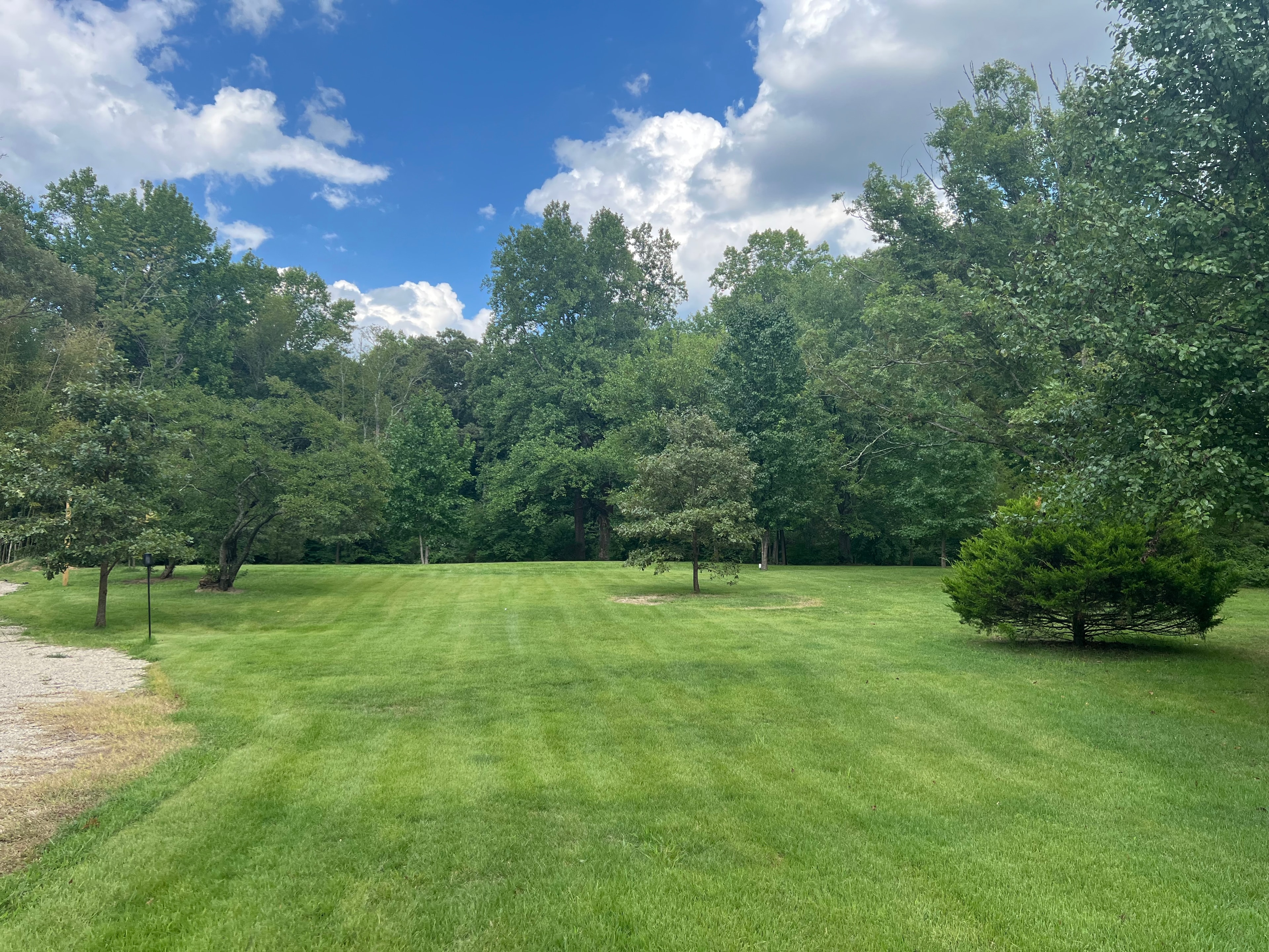 Carib Comfort spacious green lawn and trees